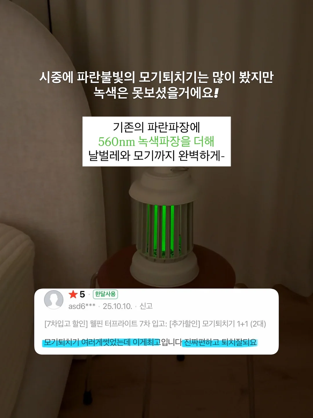 식물 고정 클립 6