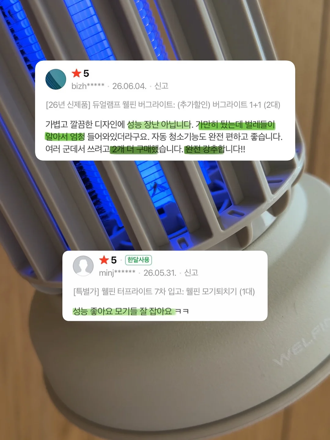 식물 고정 클립 8