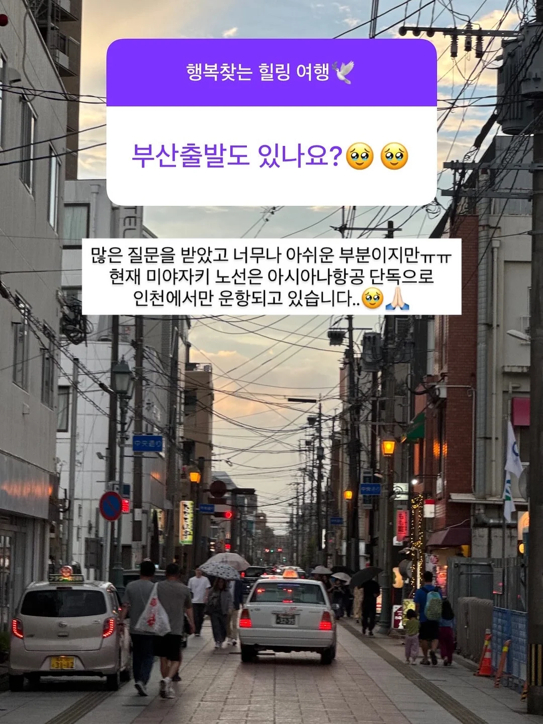 알파드 호두나무 식탁 18