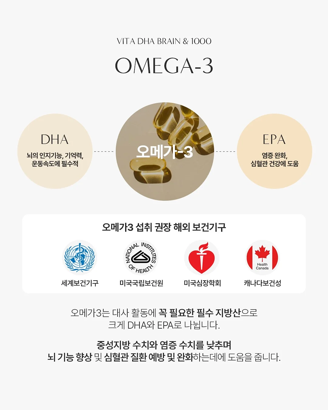 생성형 AI로 혼자서도 팀처럼 일하는 노하우 12