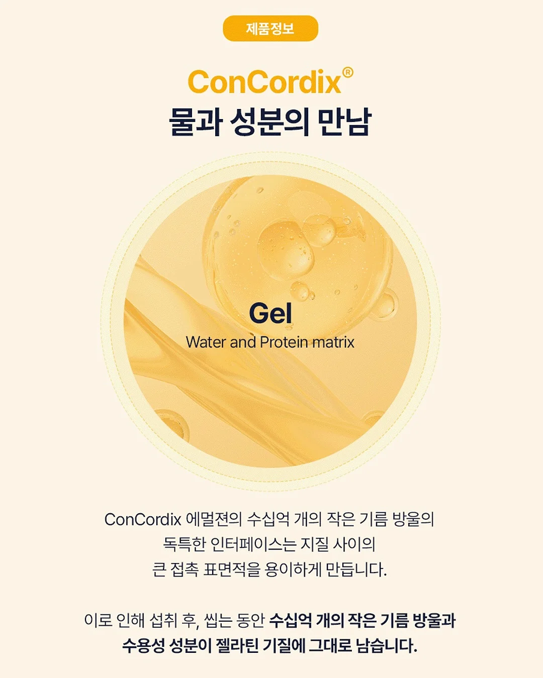 생성형 AI로 혼자서도 팀처럼 일하는 노하우 3