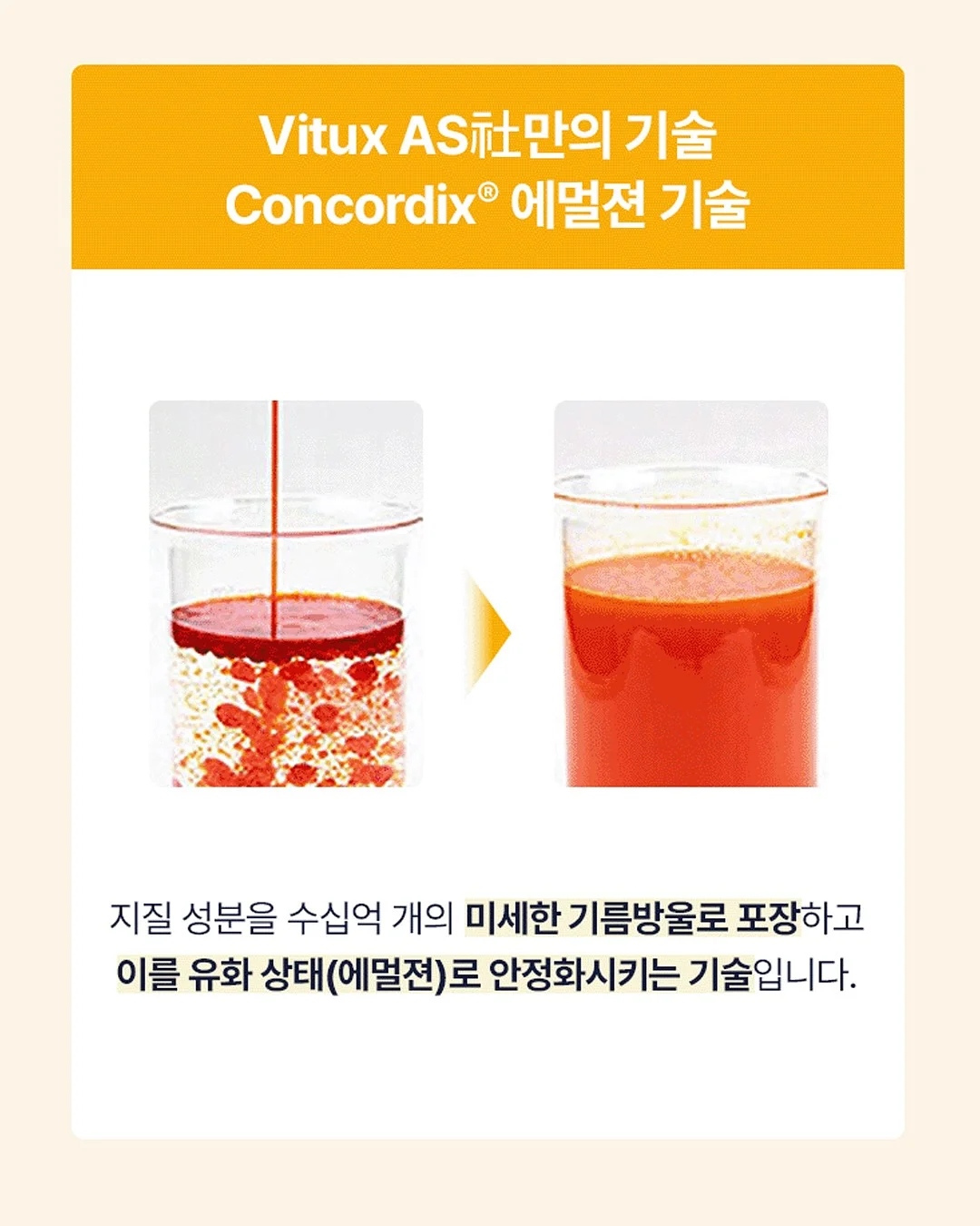 생성형 AI로 혼자서도 팀처럼 일하는 노하우 4