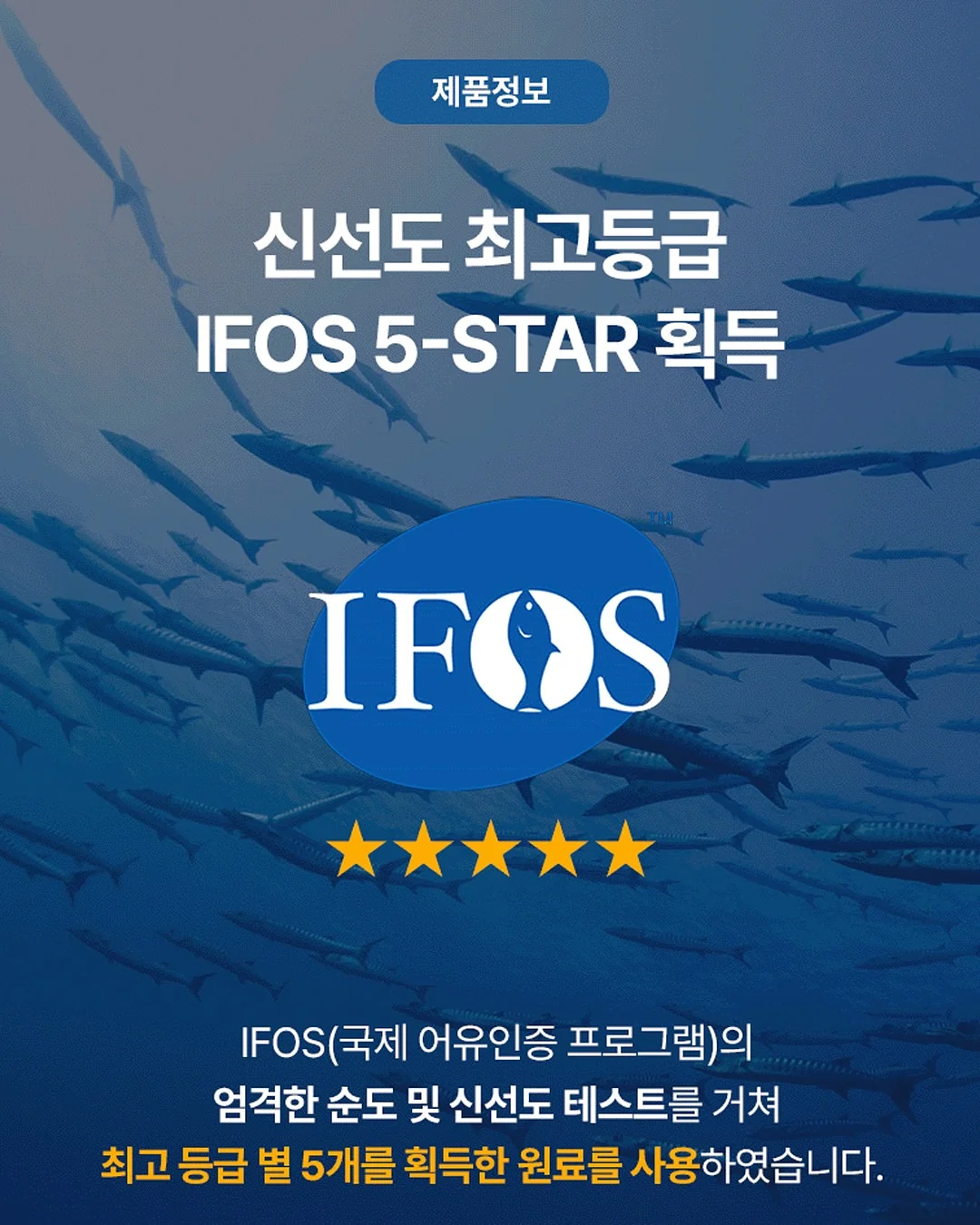 생성형 AI로 혼자서도 팀처럼 일하는 노하우 9