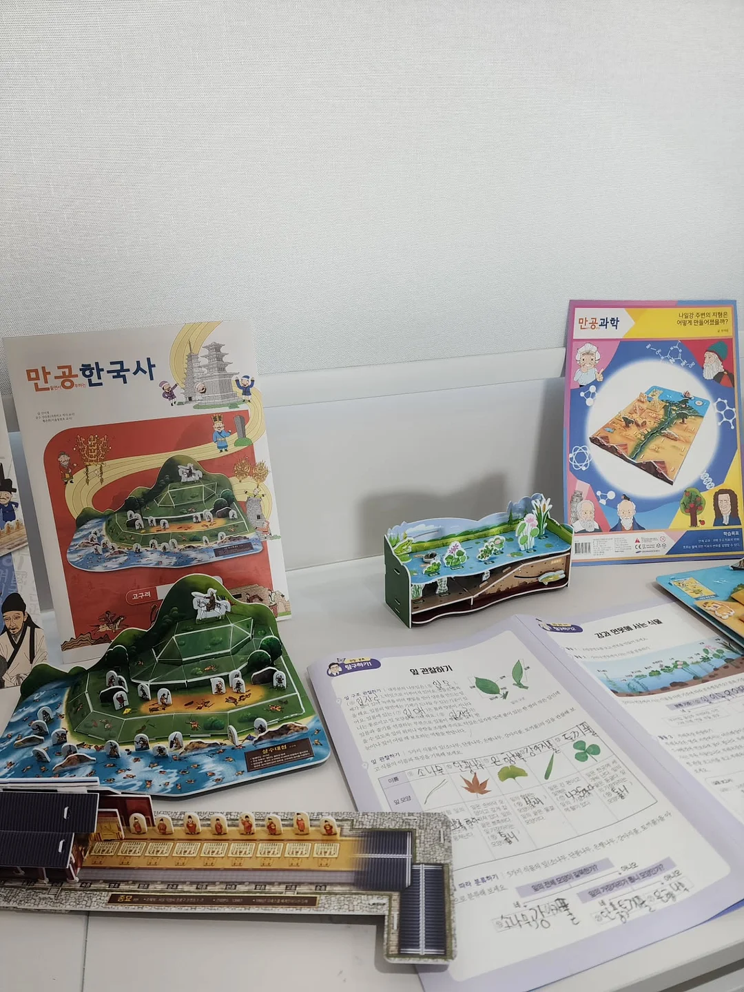 썬캡 11