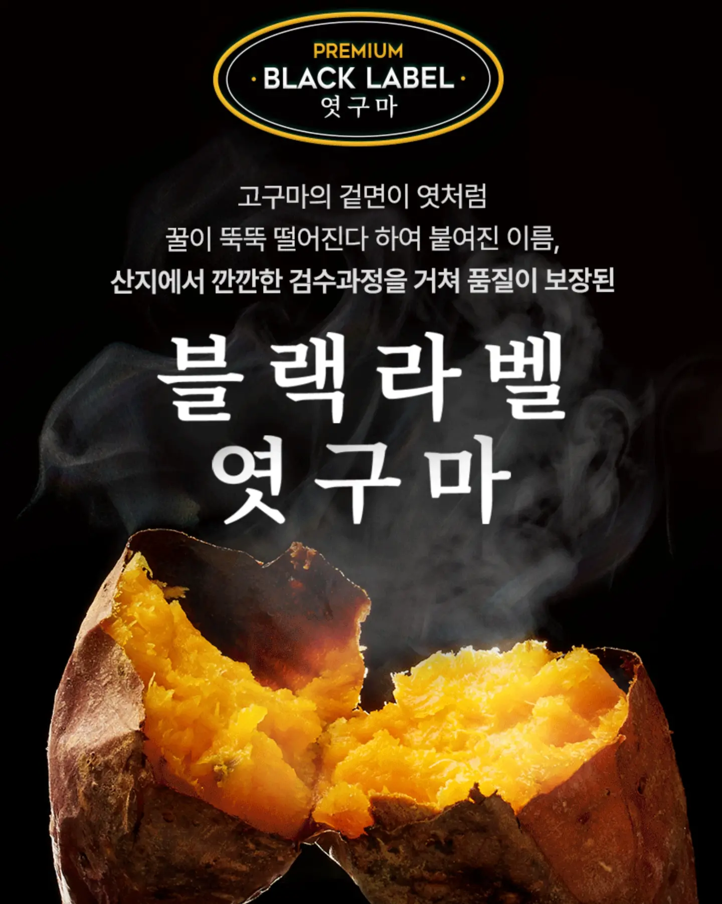 부산시티투어버스 스폰지밥 테마 2