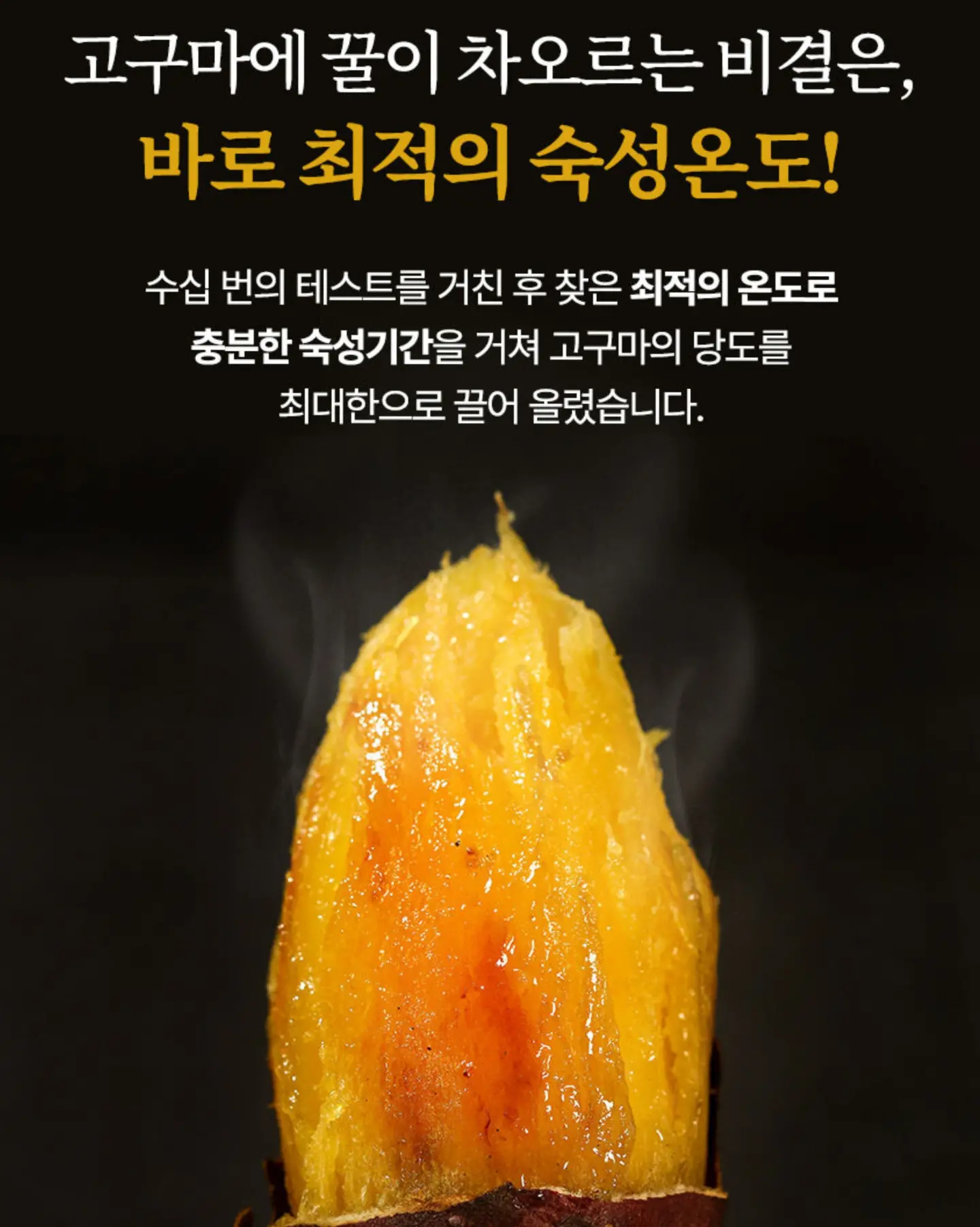 부산시티투어버스 스폰지밥 테마 3