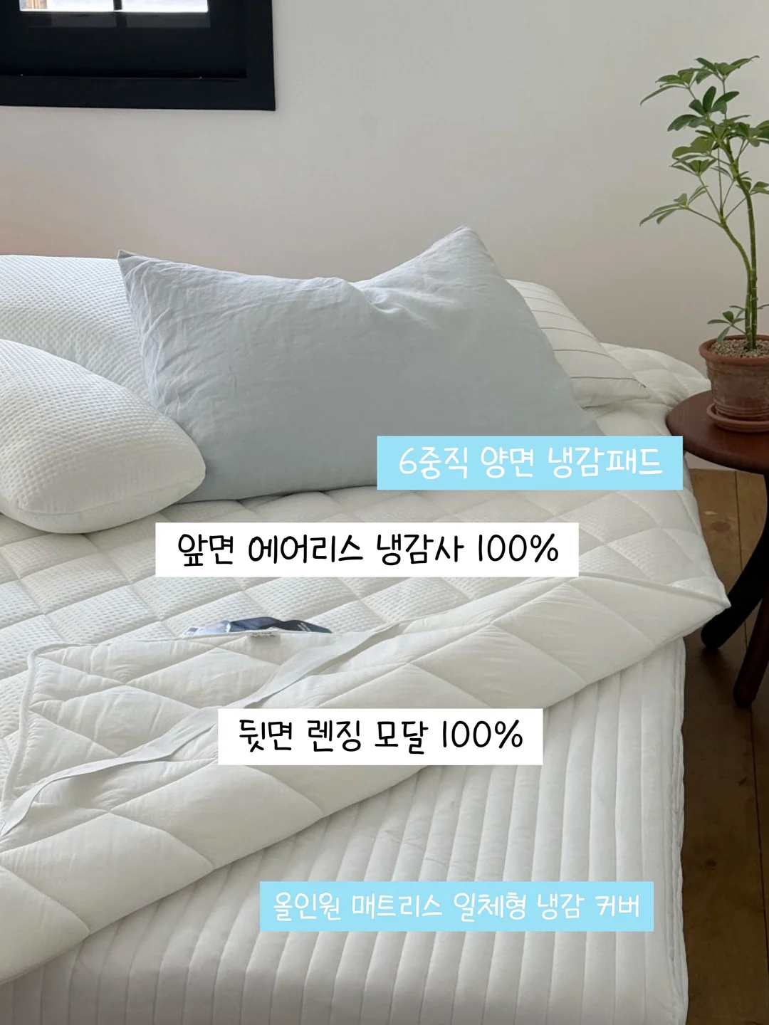 가비채 10