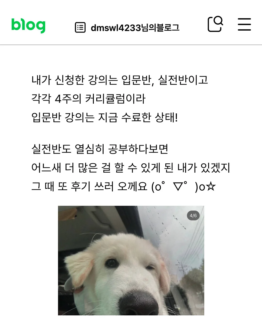 유럽 스타일 철재 아치 단조 10