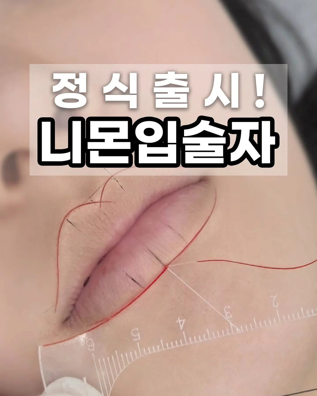 프리미엄 침구 세트