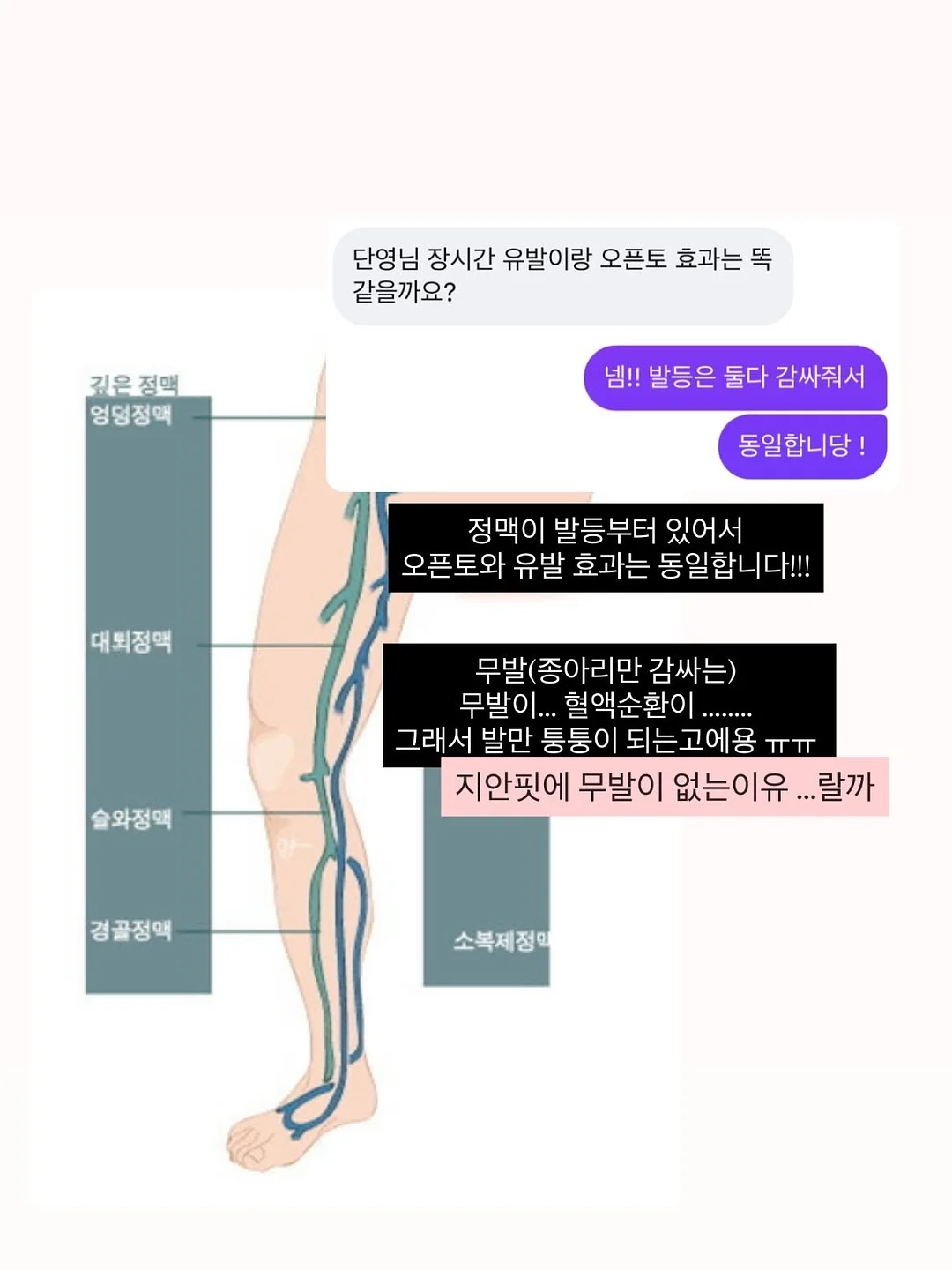 녹음제과 빵 12
