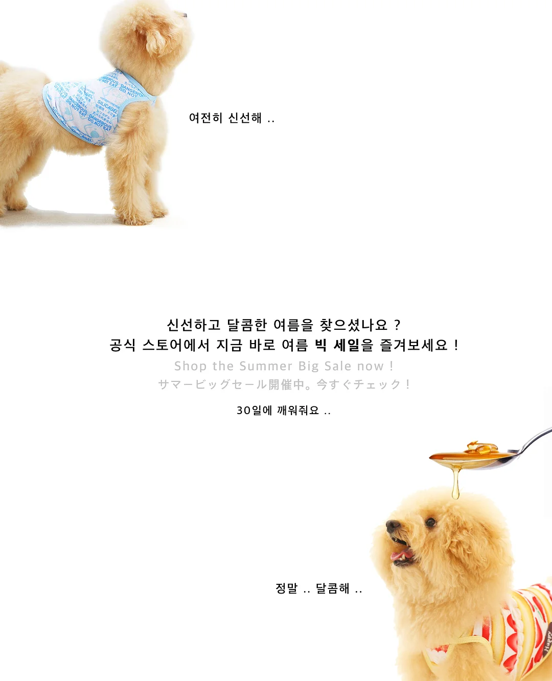 고압수 청소 샤워기