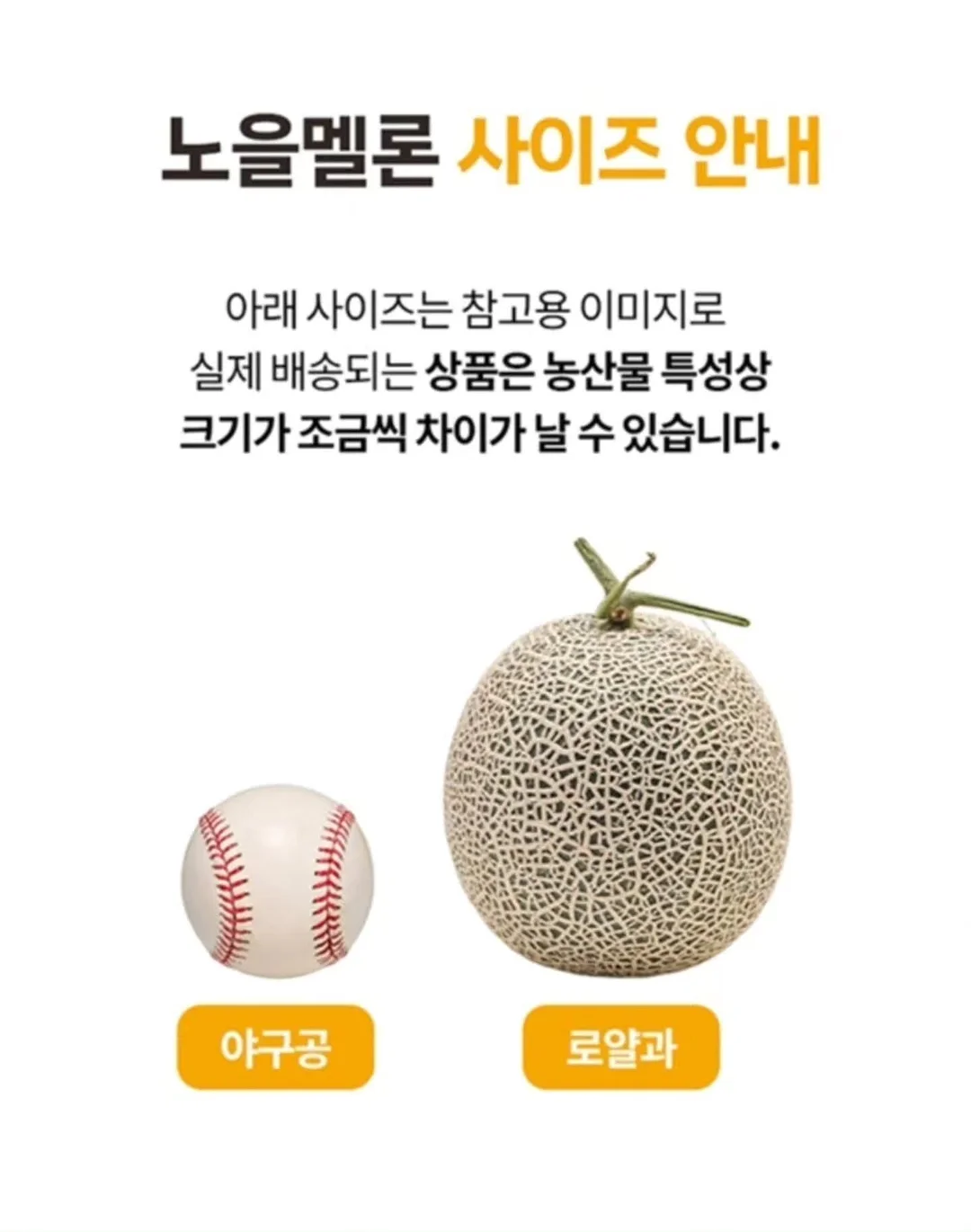 Zero to One 아티스트 크리에이티브 디렉터 실무 프로젝트 11