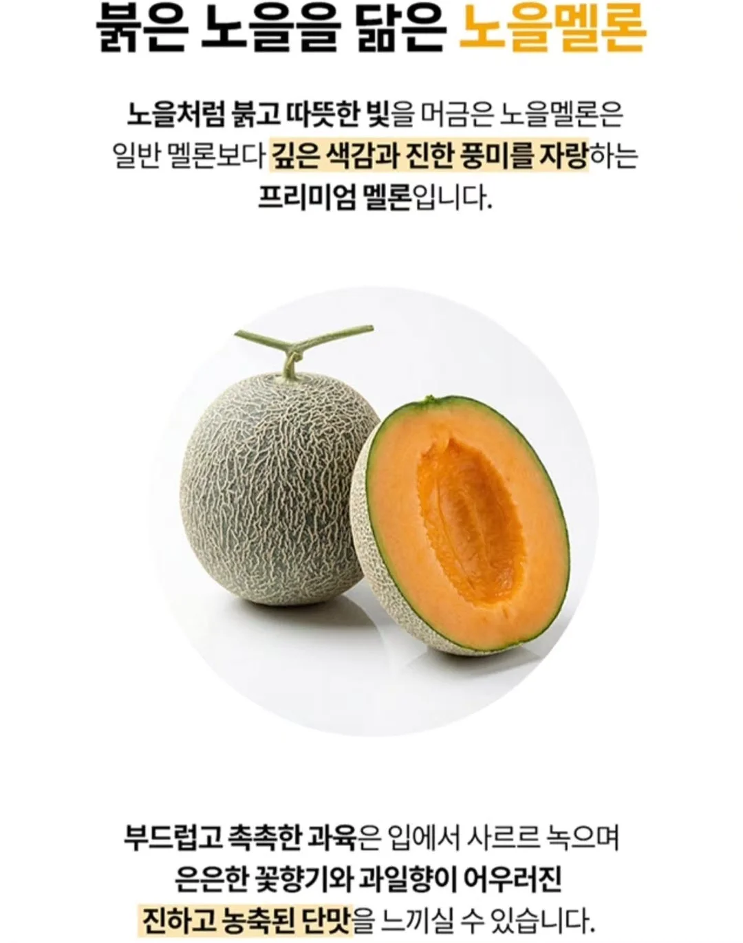 Zero to One 아티스트 크리에이티브 디렉터 실무 프로젝트 6