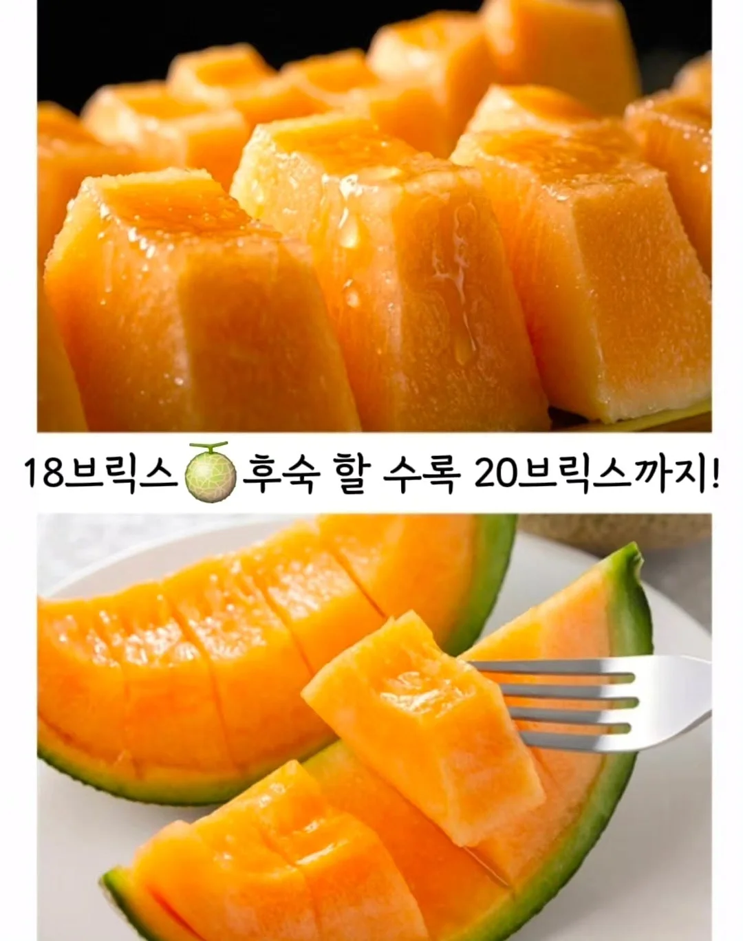 Zero to One 아티스트 크리에이티브 디렉터 실무 프로젝트 7