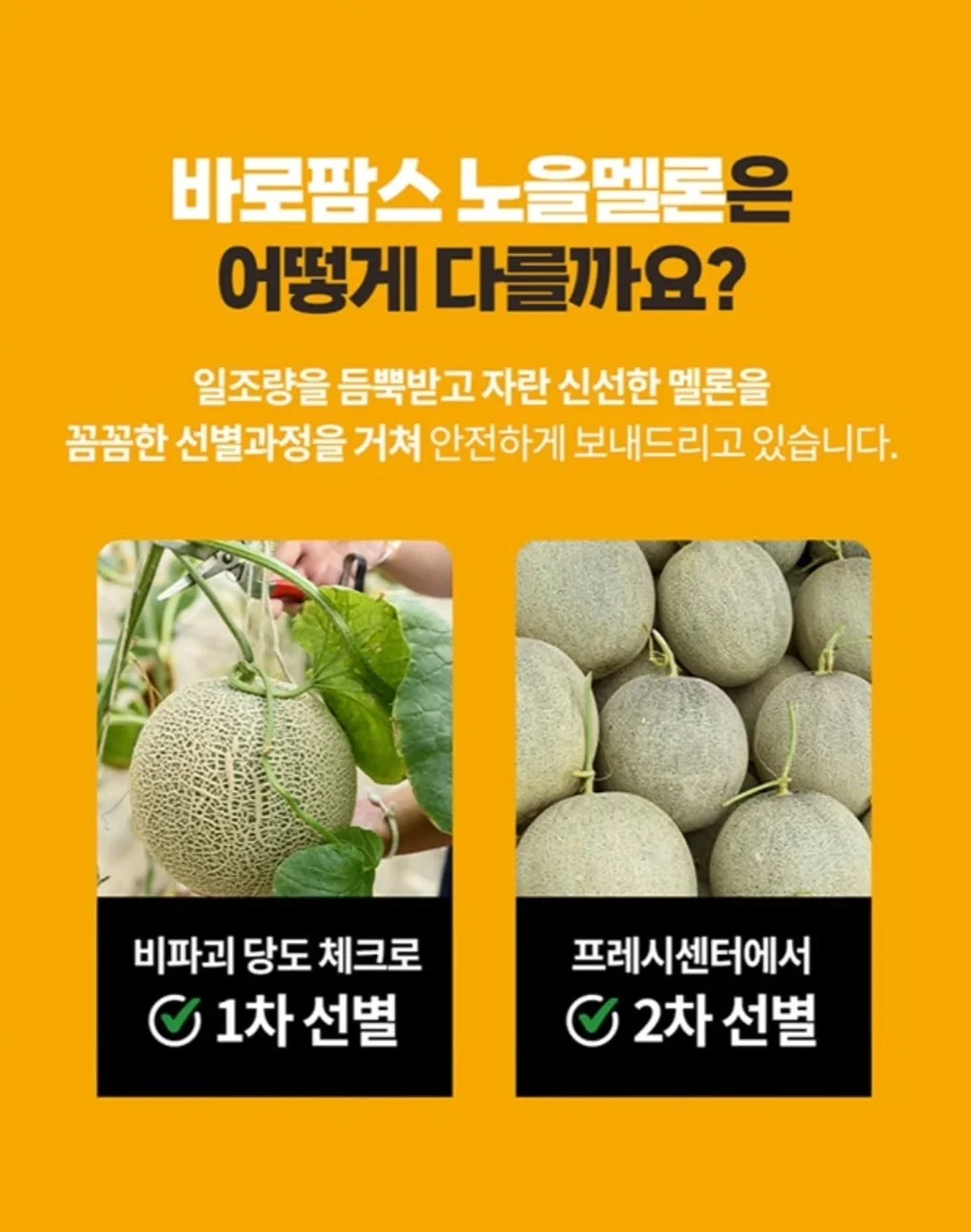 Zero to One 아티스트 크리에이티브 디렉터 실무 프로젝트 9