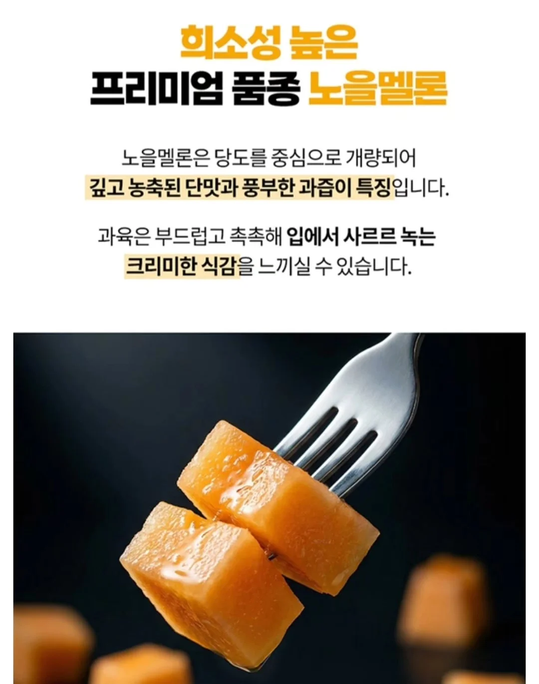 Zero to One 아티스트 크리에이티브 디렉터 실무 프로젝트 10