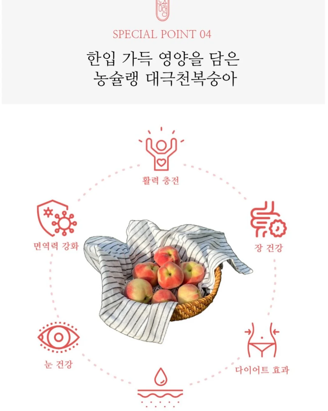 시오콘부 3