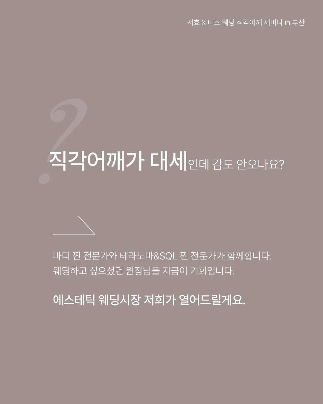 캘리 자켓 5