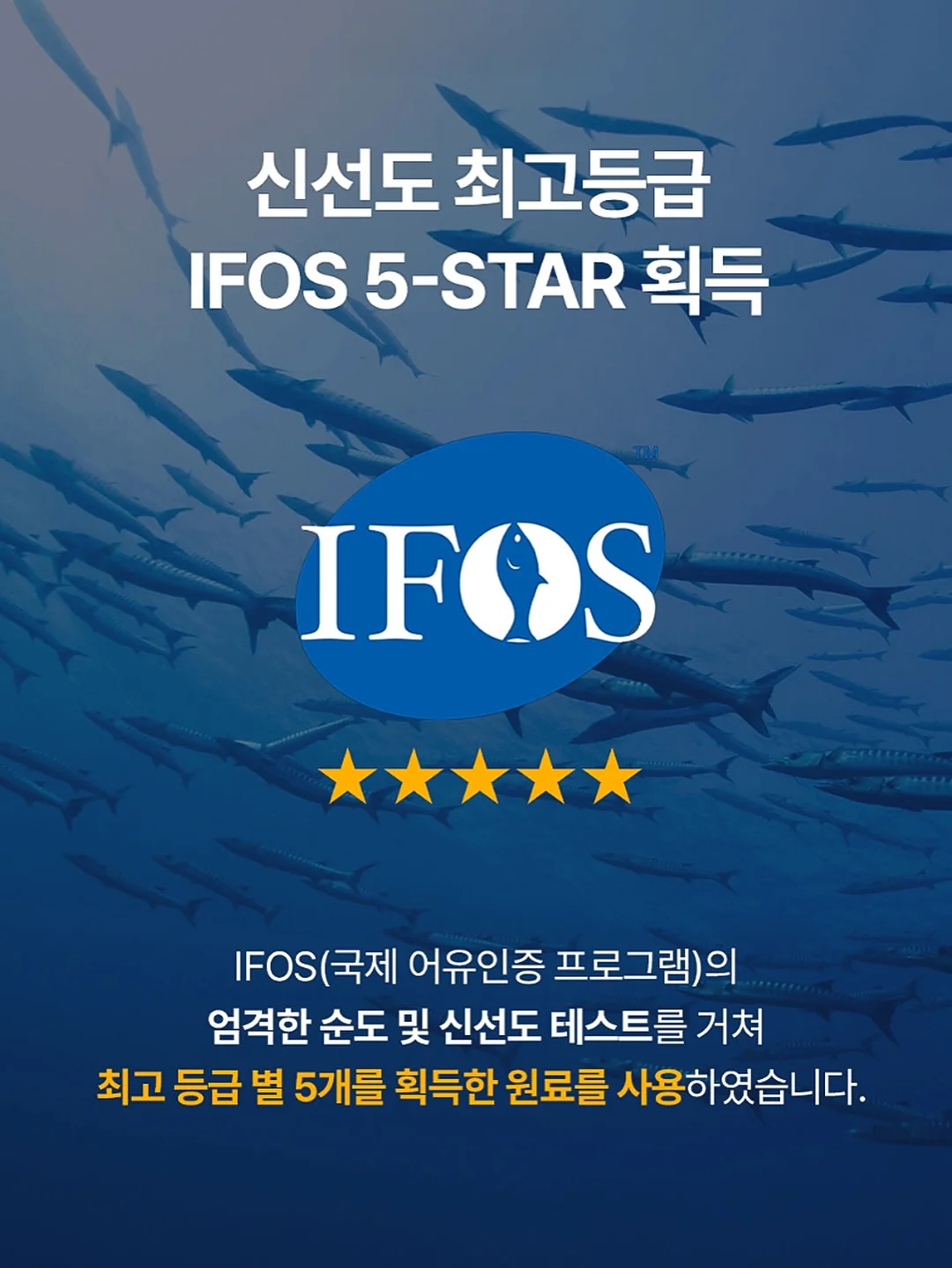 가민 아웃도어 워치 6