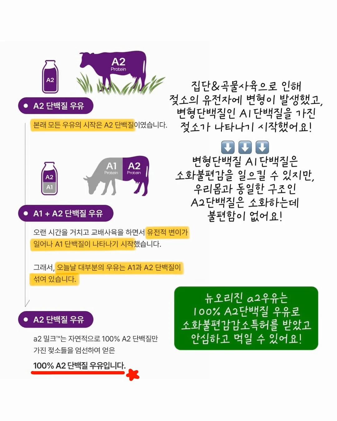 디즈니라인 티셔츠 3