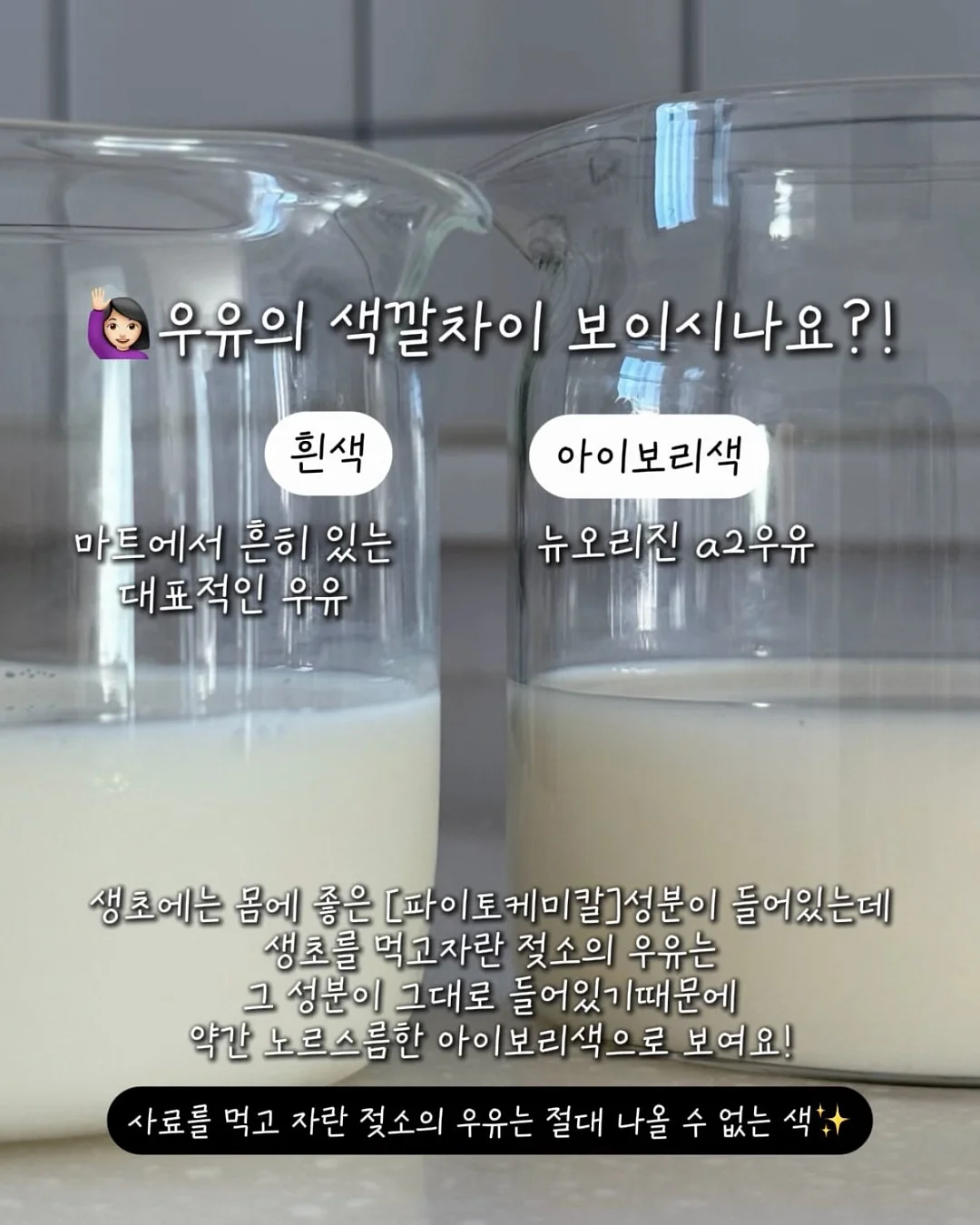 디즈니라인 티셔츠 6
