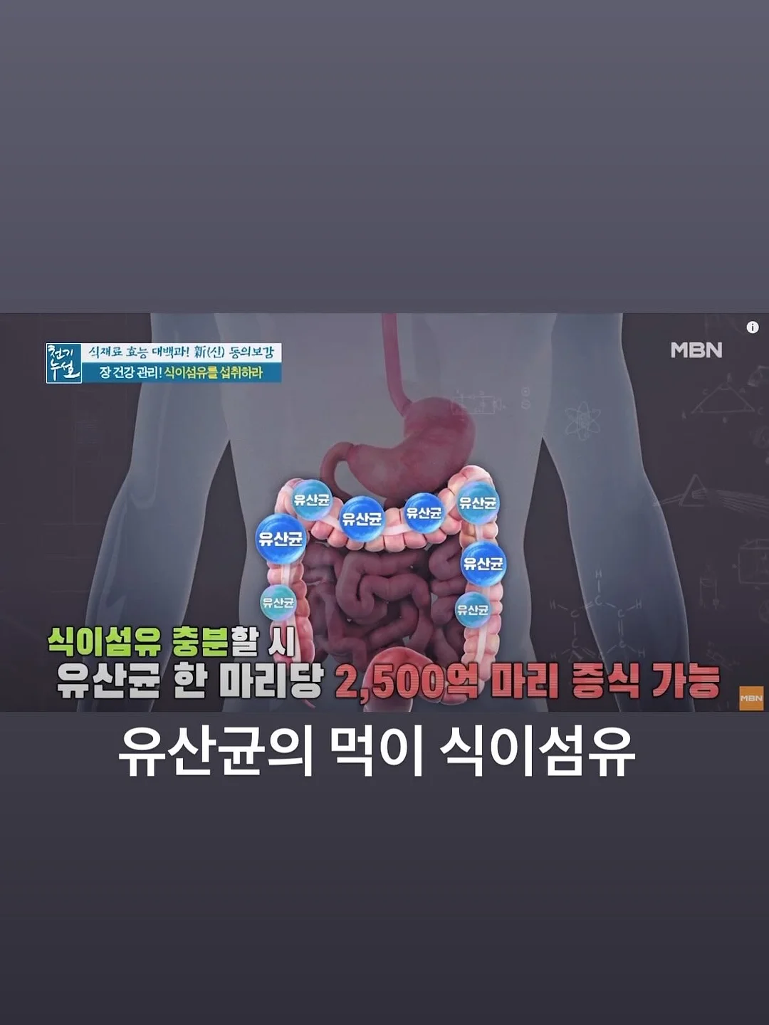 정관장 홍삼정 센스 13