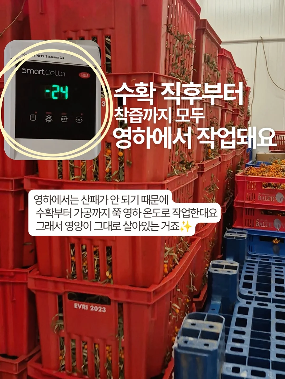 세상을 싫어하는 사람의 행복 13