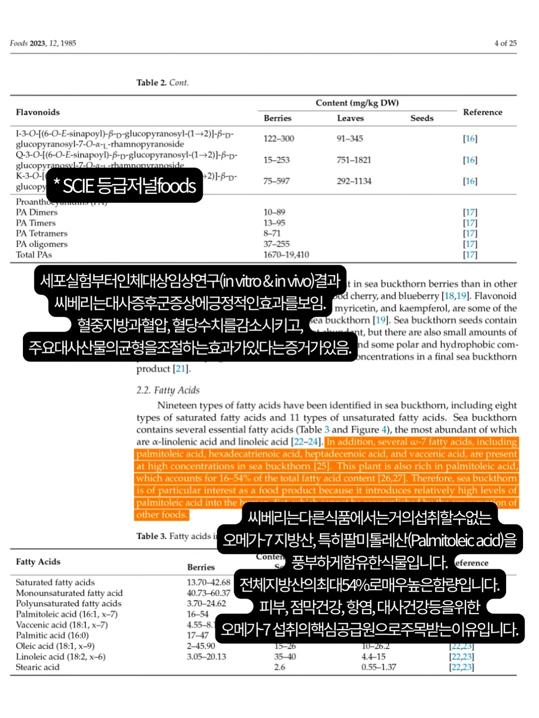 세상을 싫어하는 사람의 행복 14