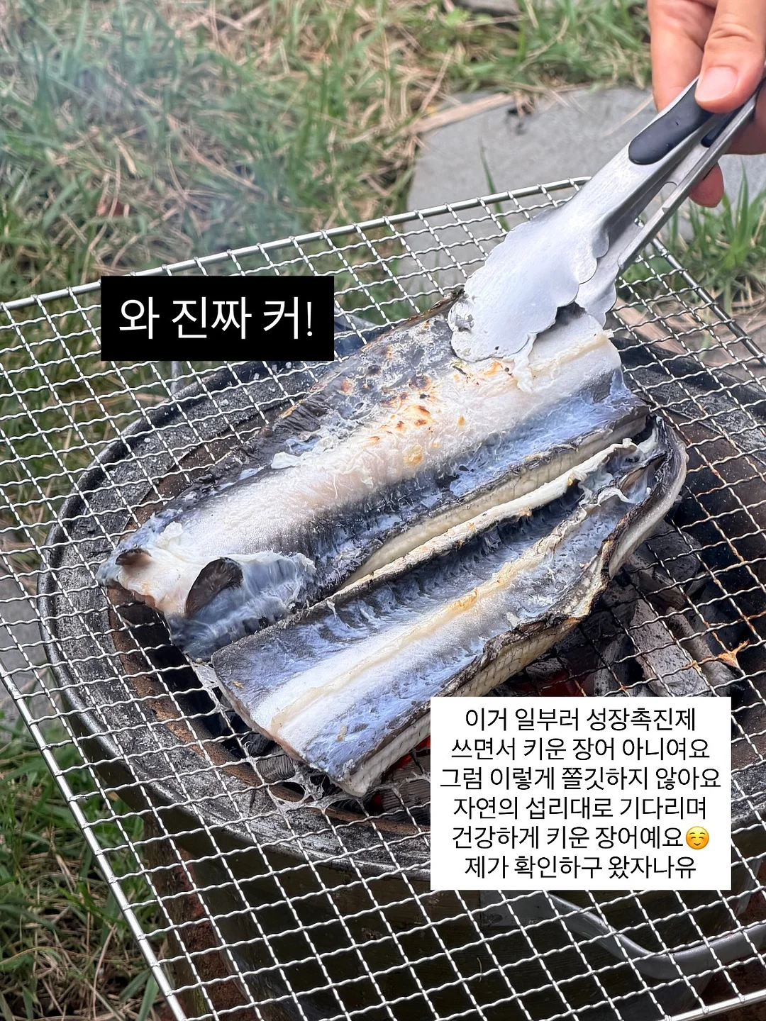 디즈니 여름 파자마 3