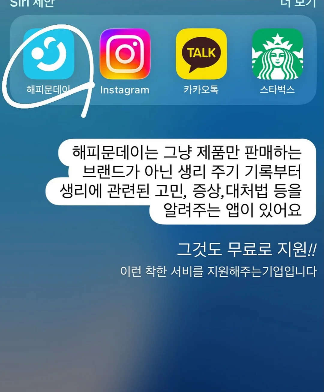 폼폼귀돌이비니 12