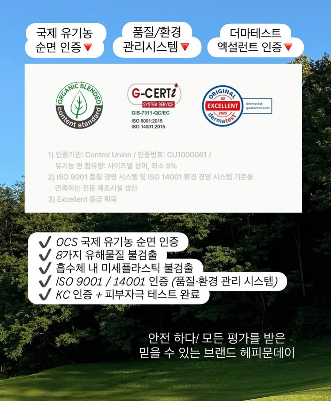 폼폼귀돌이비니 8