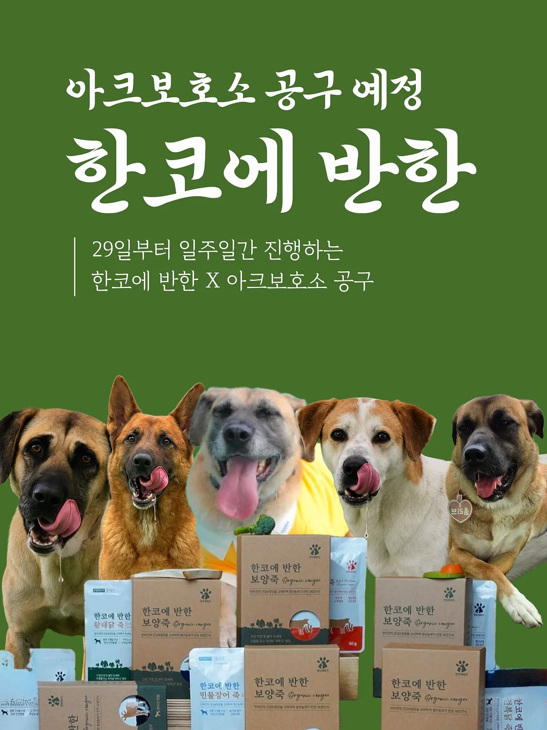 반팔 블라우스