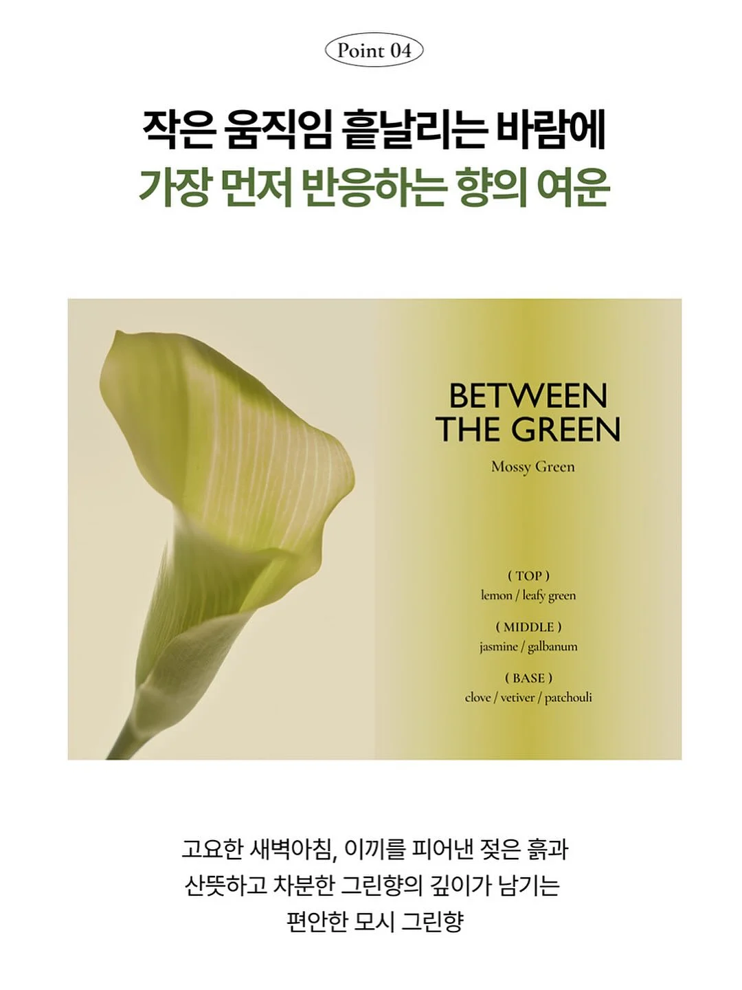 엘모사 니들 쿠션 12