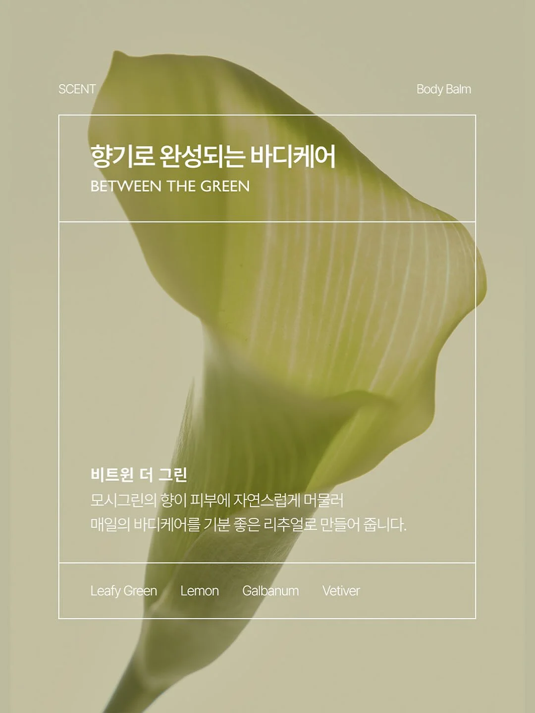 엘모사 니들 쿠션 5