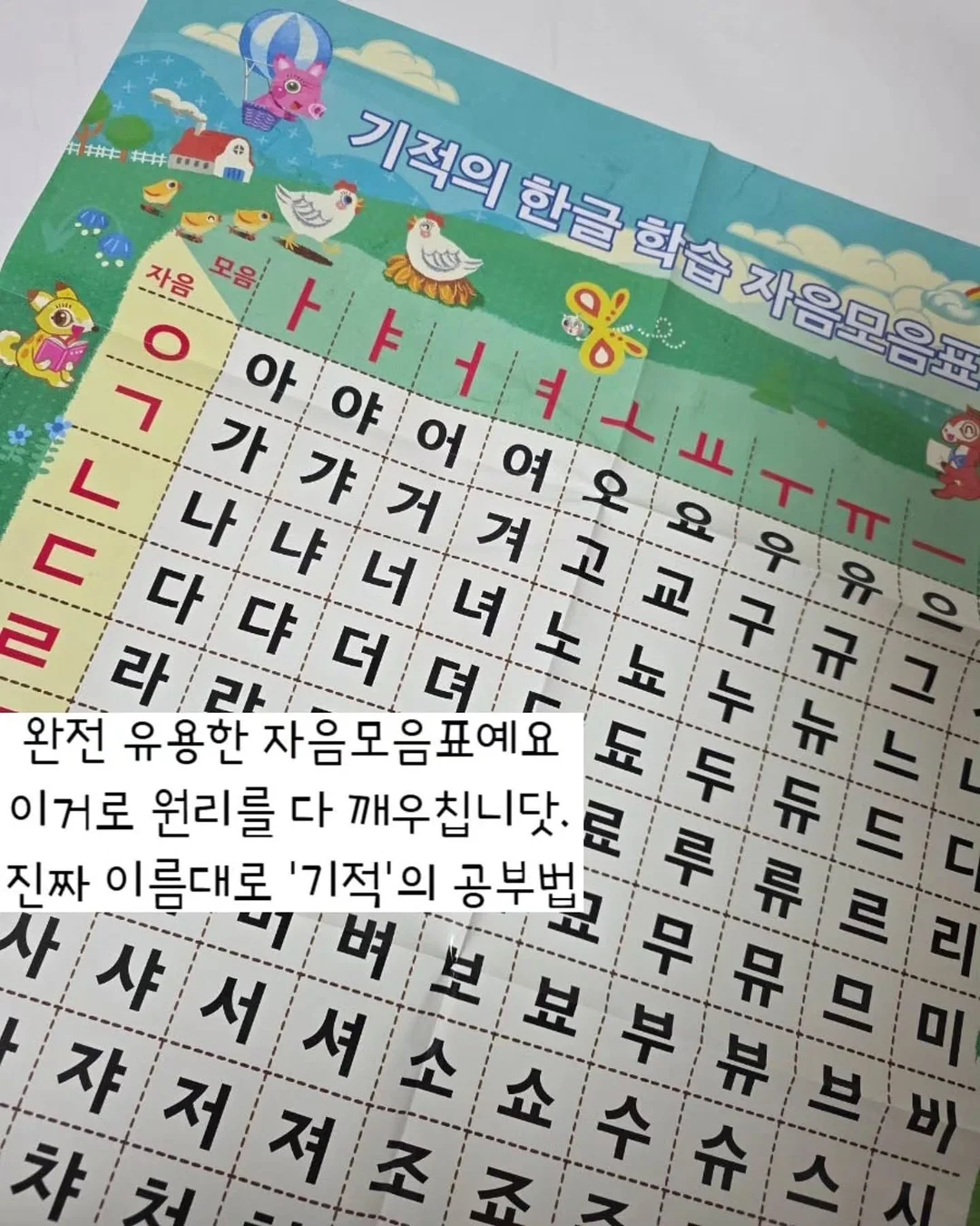 패딩 3