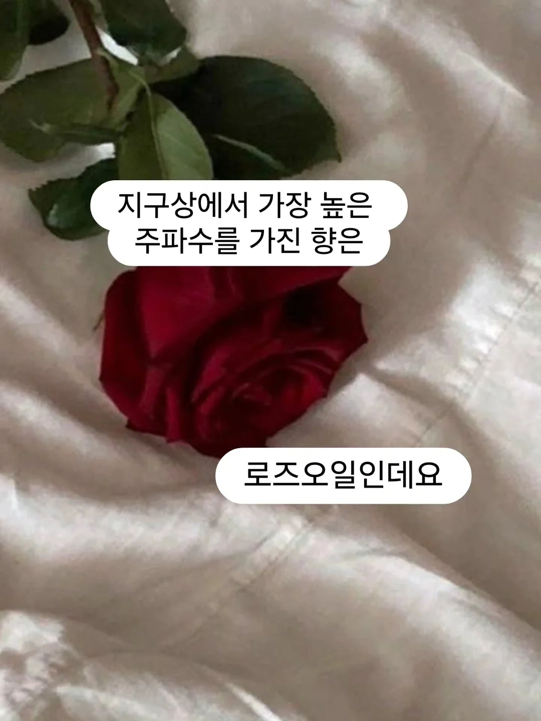 사람 하나 잘못 만나면 인생이 무너진다 4