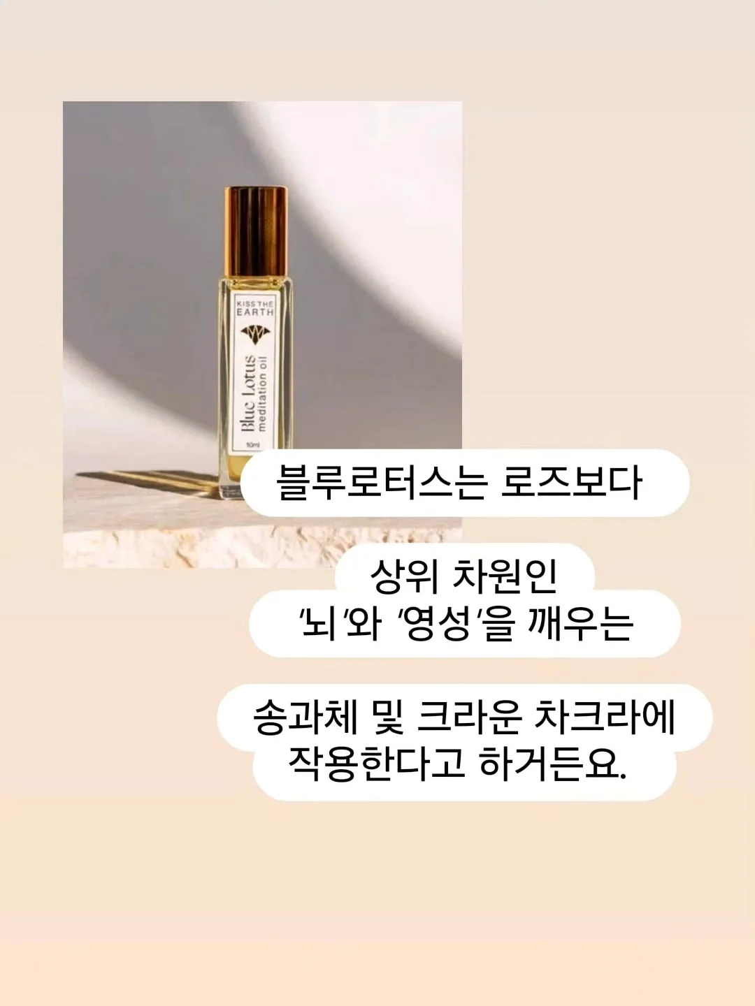 사람 하나 잘못 만나면 인생이 무너진다 6