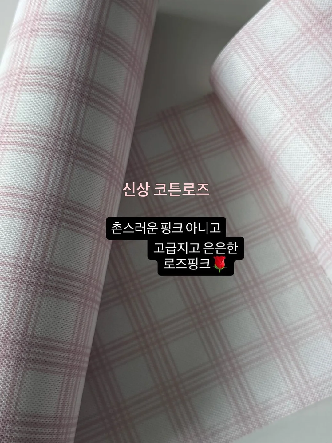 슈퍼젝션 6
