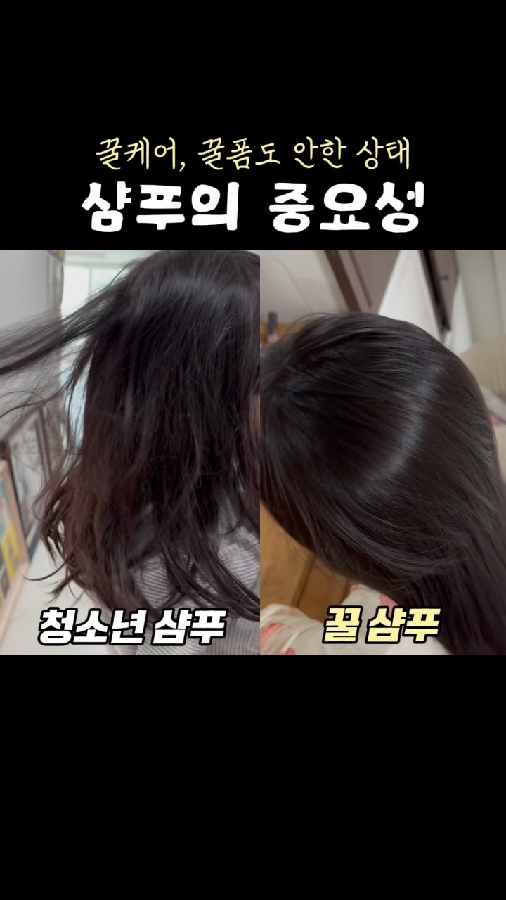 수능 빌드업 독서 영어독해 대수 미적분 확률과 통계 5책