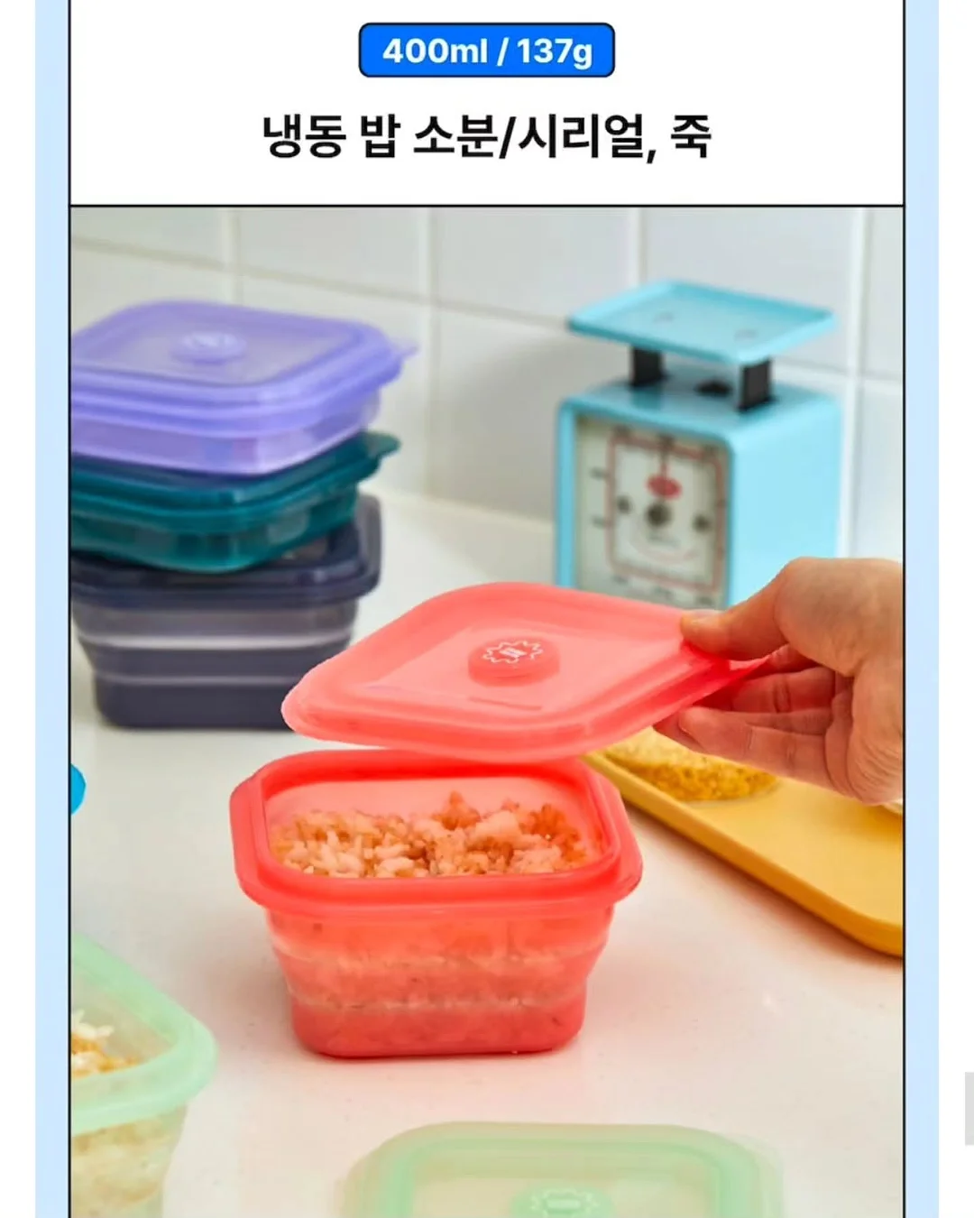 강아지와 함께하는 웰니스데이 12