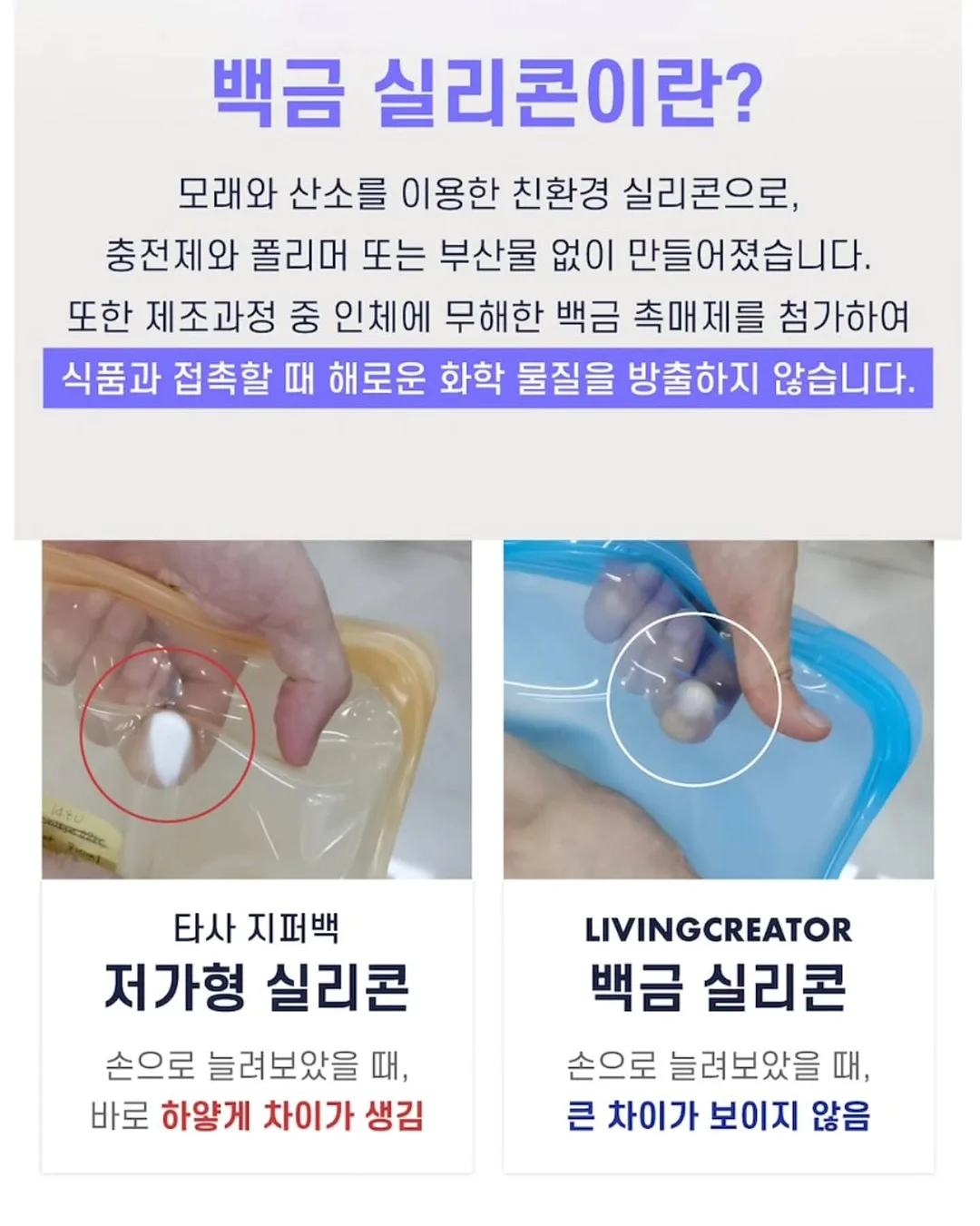 강아지와 함께하는 웰니스데이 17