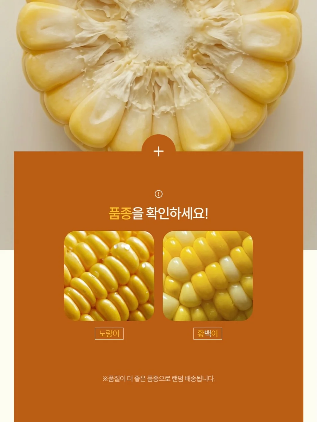 퍼스널 메이크업 강의 4