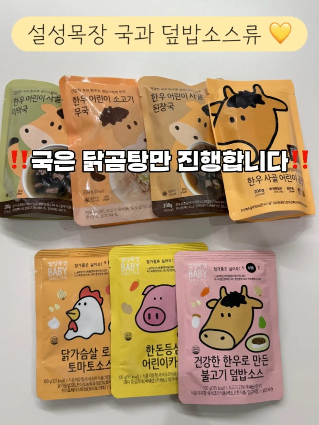 어린 임금의 눈물 13
