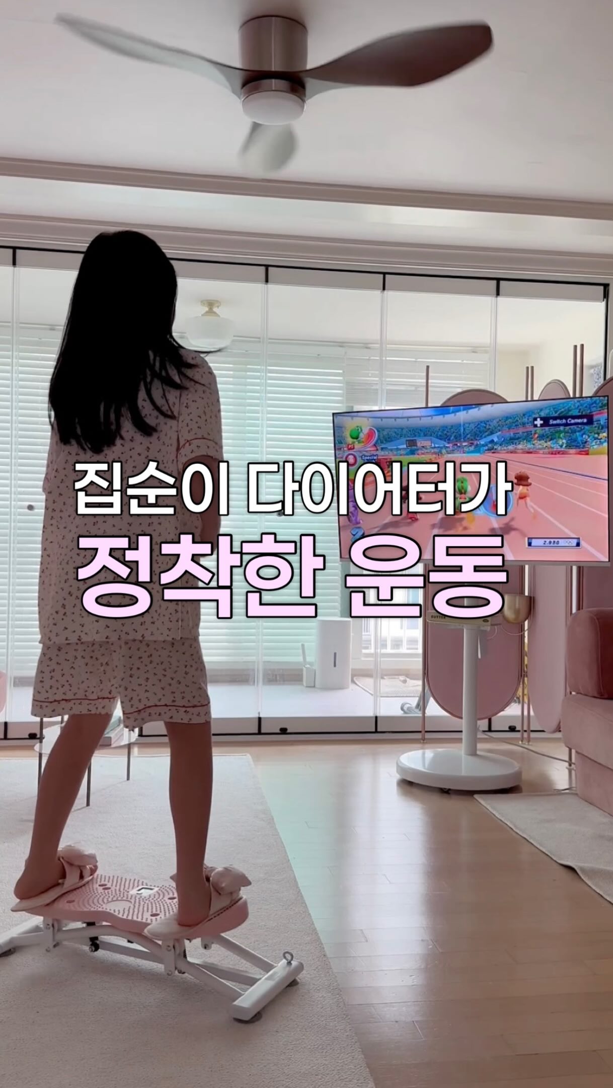 고양이 쿨링 하우스