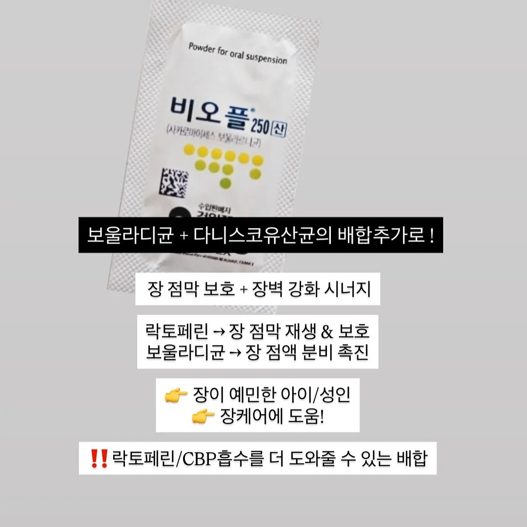 2025 다채운 타로 다이어리 스페셜 에디션 4