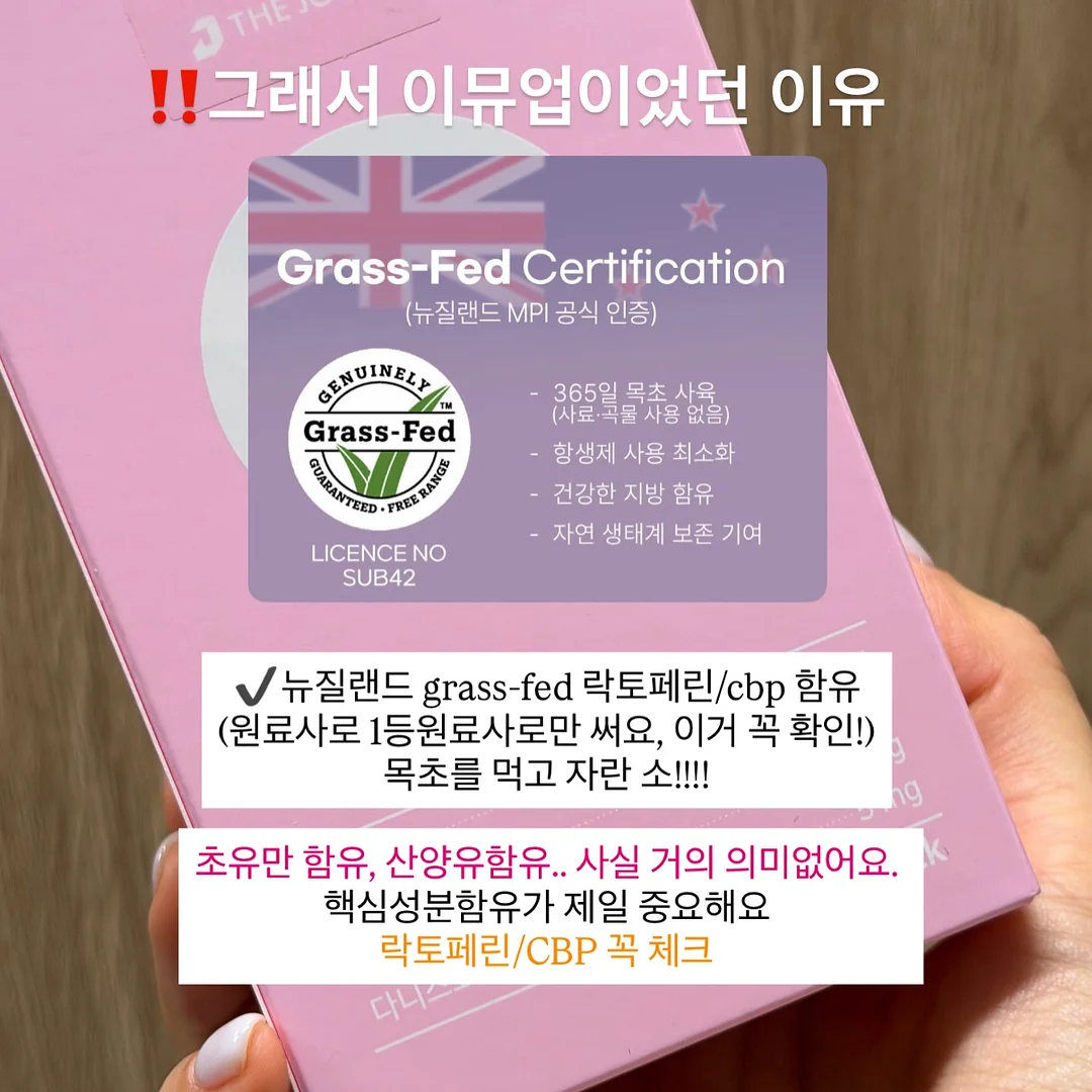 2025 다채운 타로 다이어리 스페셜 에디션 6