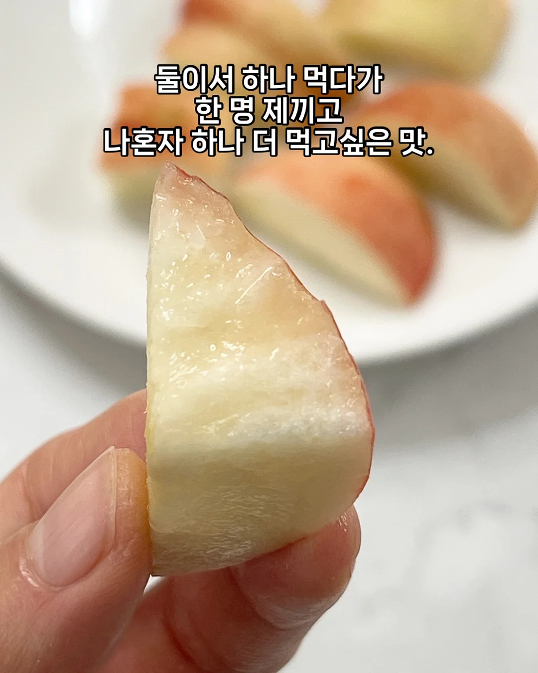 패밀리룩 3