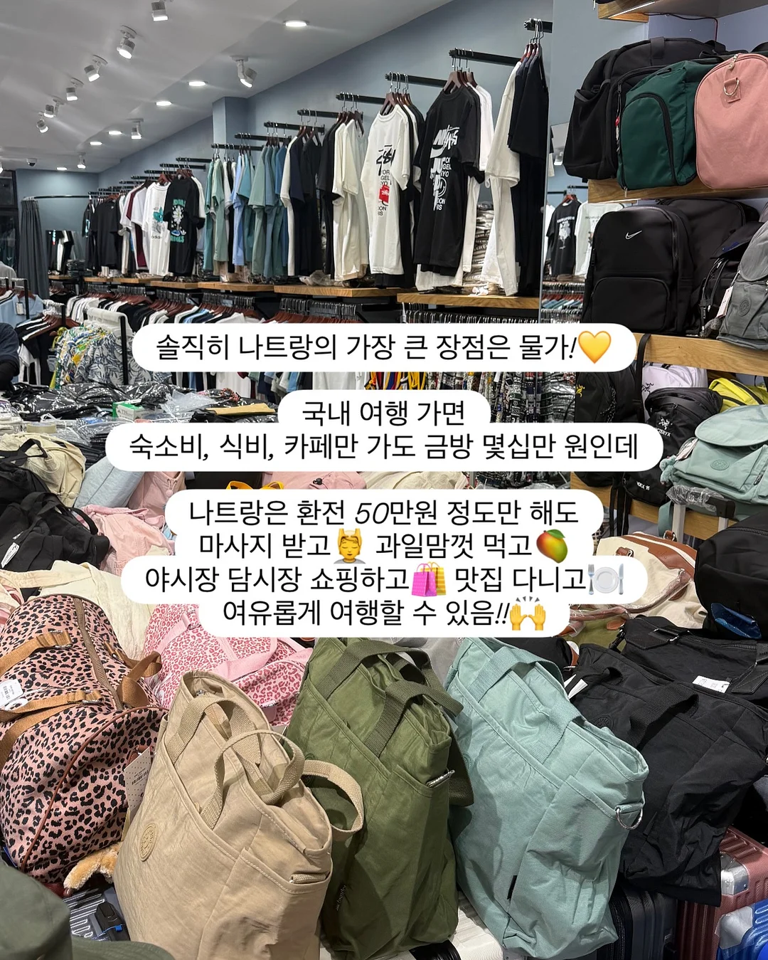 핀핀 램프 9