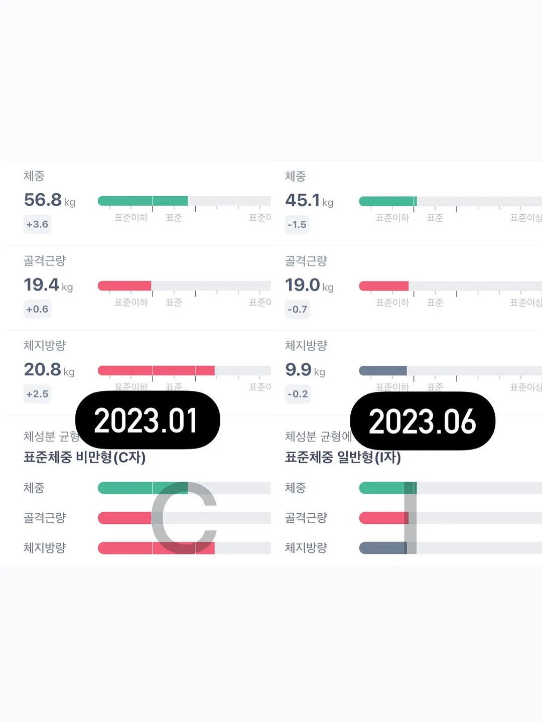 이유식 큐브 1