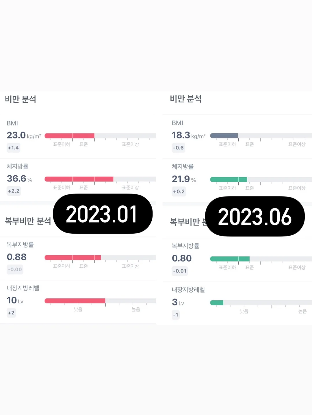 이유식 큐브 2